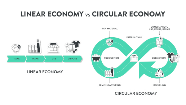 Circular vs linear economy graphic