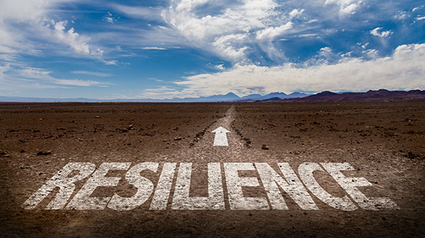 Investing in resilience beyond traditional risk management can deliver long-term operational, financial, and competitive advantages, turning adaptive capacity into a strategic asset for future-ready supply chains.