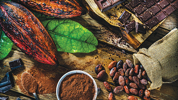 A proactive approach using Failure Mode and Effects Analysis can help the cocoa and candy industry reduce waste, improve product quality, and strengthen supply chain resilience through collaboration and innovation.