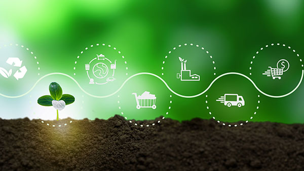 Regenerative supply chains move beyond simply reducing environmental and social harm by focusing on restoring the ecosystems, communities, and production systems that long-term supply chain resilience and competitiveness depend on.